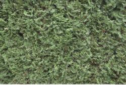 Photo Textures of Mixed Nature